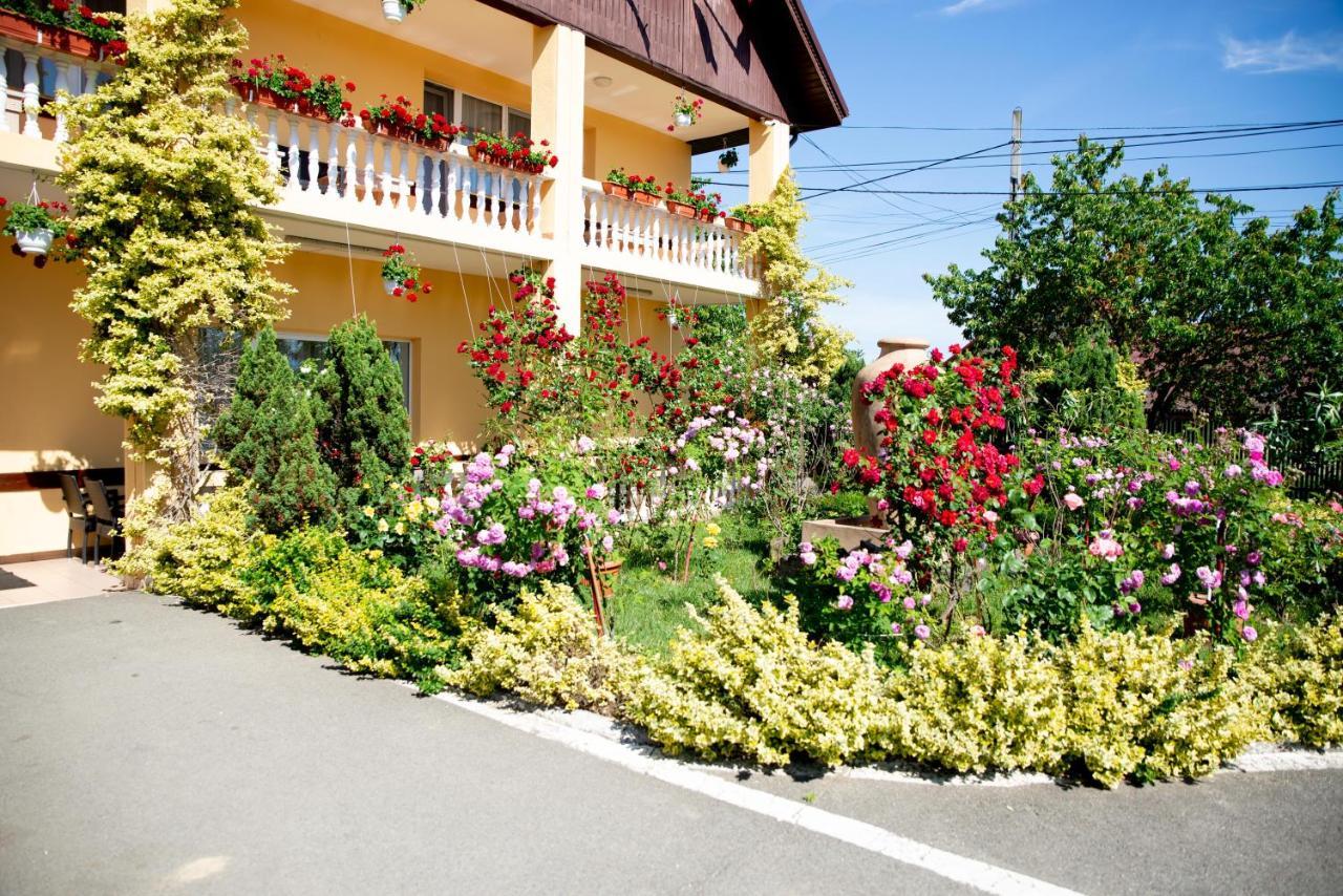 Motel Moara Veche Săcălăşeni Extérieur photo